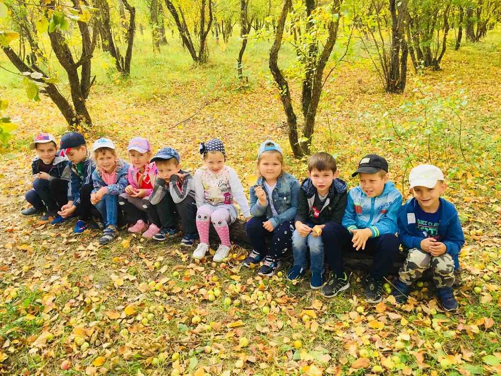 Группа осенний. Экскурсия в осенний лес старшая группа. Экскурсия в парк с детьми старшей группы. Осенняя экскурсия старшая группа. Прогулка в осеннем парке старшая группа.