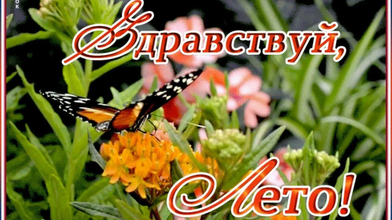 Картинки прощай май здравствуй лето. Надпись здравствуй лето. Прощай лето картинки. Картинки прощай май здравствуй лето. Картинки прощай май здравствуй лето.