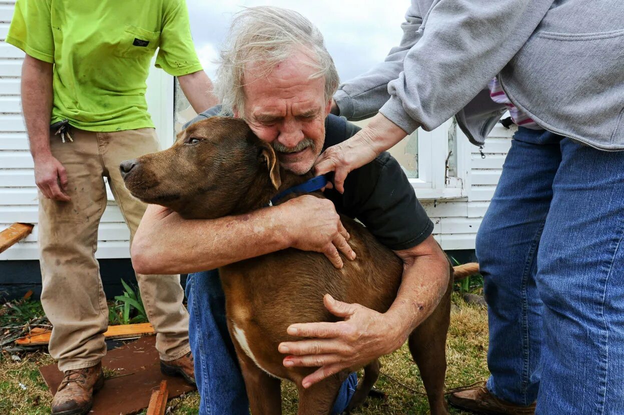 Мужчина спас собаку. Старик и собака. Преданные собаки. Человек с собакой.