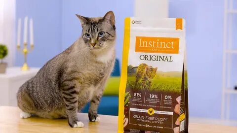Original cat