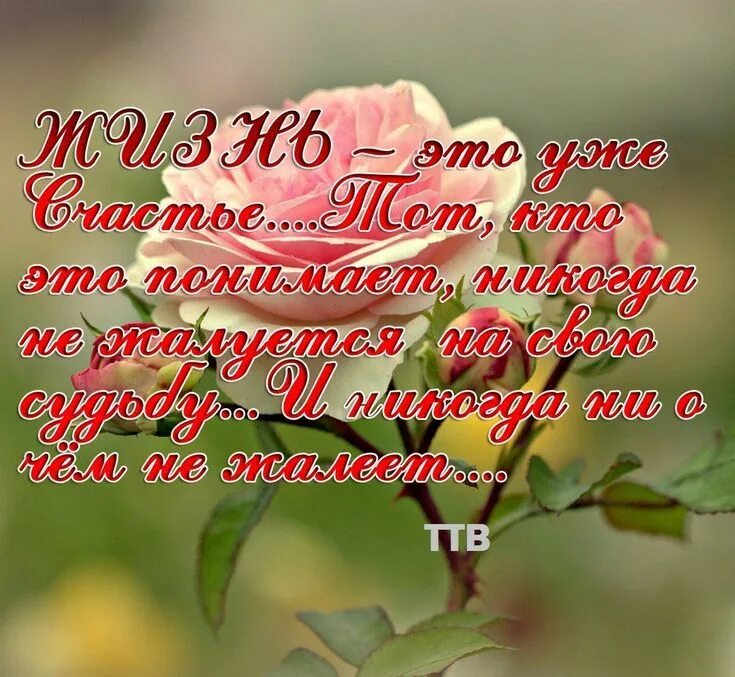 Вдохновение счастье. Лето. Поверишь увидишь. Красивые аватарки со смыслом. 15 прекрасное есть жизнь.