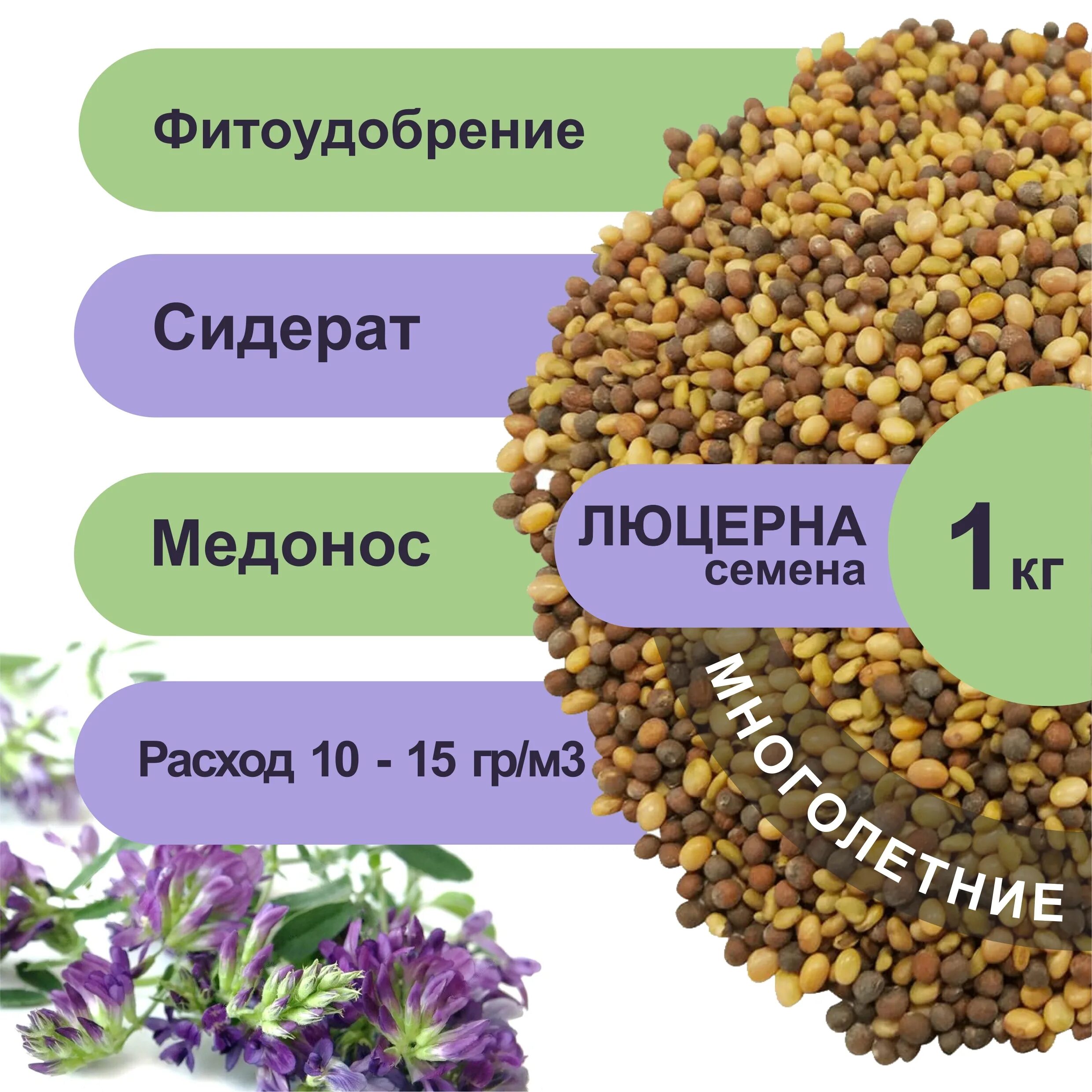 Люцерна семена на сотку. Семена люцерны. Люцерна сидерат. Семена люцерны 1кг. Бобовое растение на корм скоту.