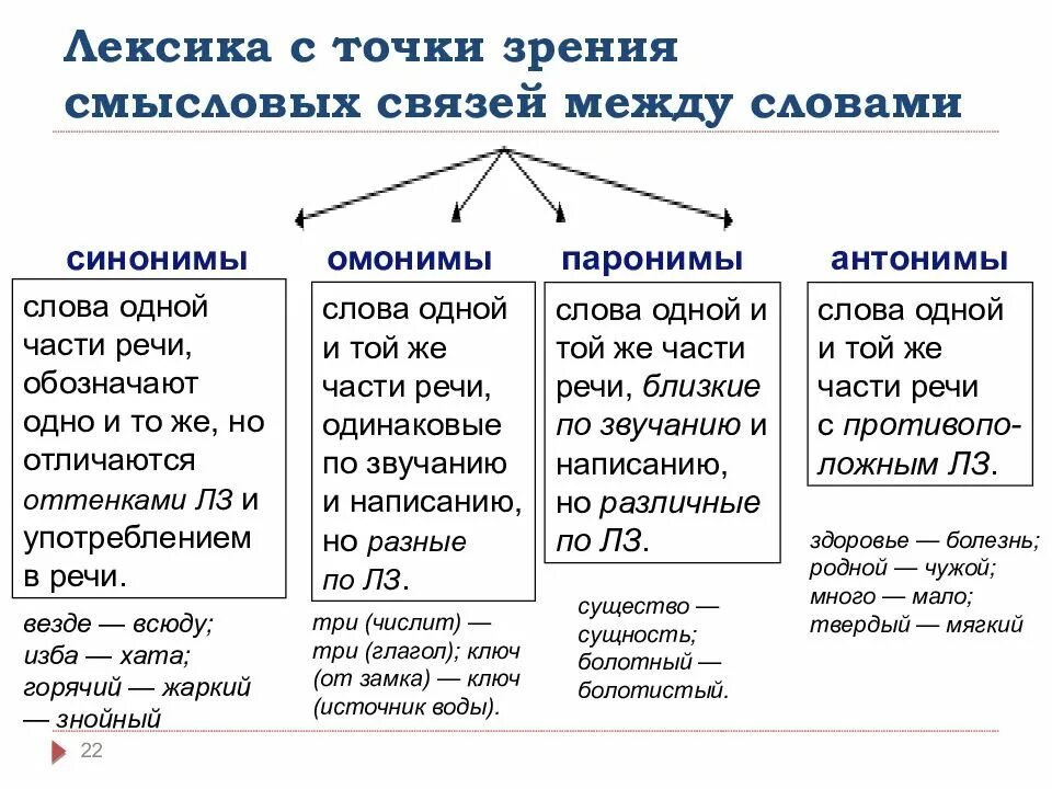 Лексика изучает слово. Характер смысловых отношений между словами. Нарушение лексических норм омоним. Паронимы омонимы таблица. Лексика с точки зрения количества значений.