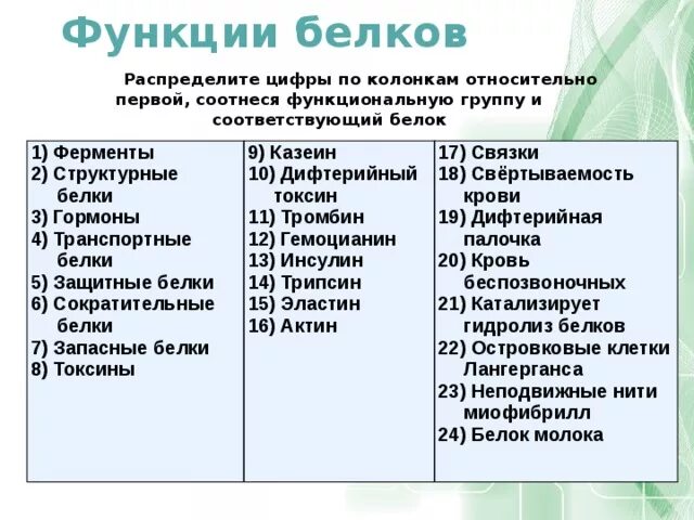 Казеин белок функции. Белки ферменты таблица. Казеин функция. Примеры белков ферментов.