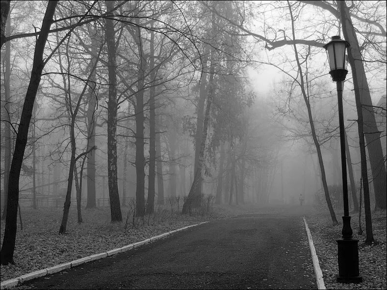 Серая осень. Серая осень город. Осень дождь серость. Дождливая серая осень. Серый день и серый ветер