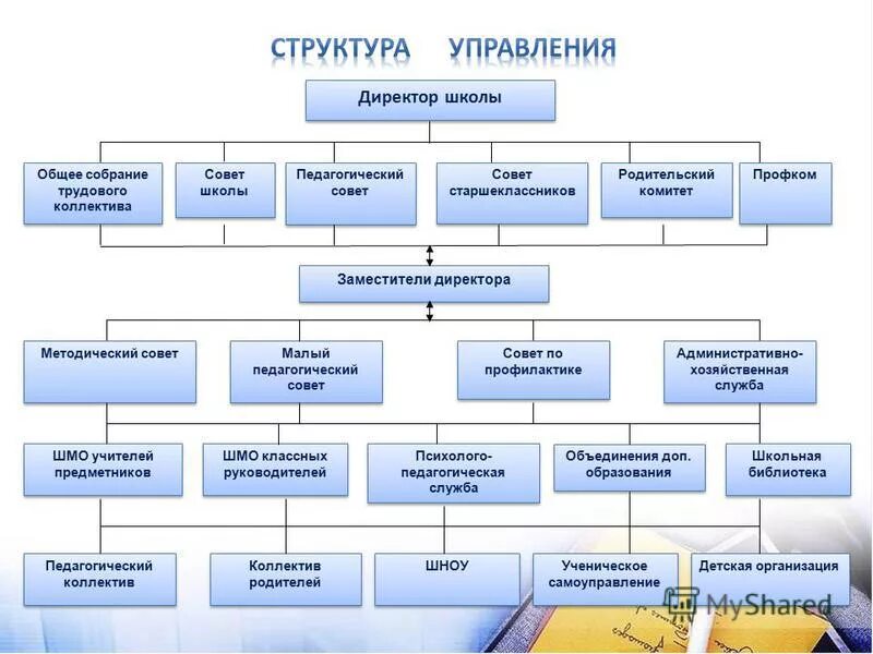 какие есть заместители директора школы