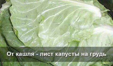Капуста от кашля компресс