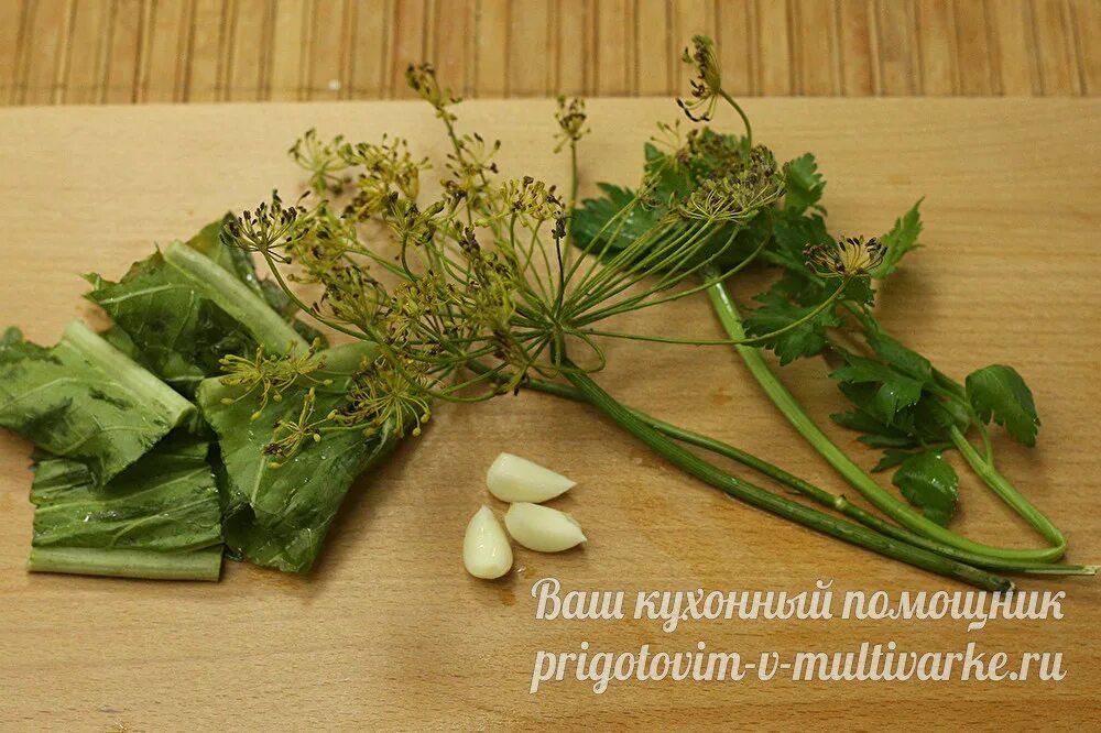 Малосольная растение. Укроп для засолки. Трава для засолки огурцов. Зонтики укропа для засолки огурцов. Зонтики укропа для засолки огурцов.