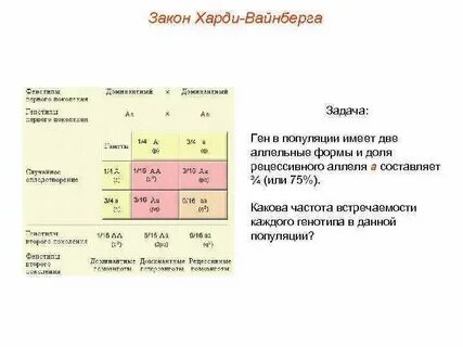 Частота доминантного аллеля
