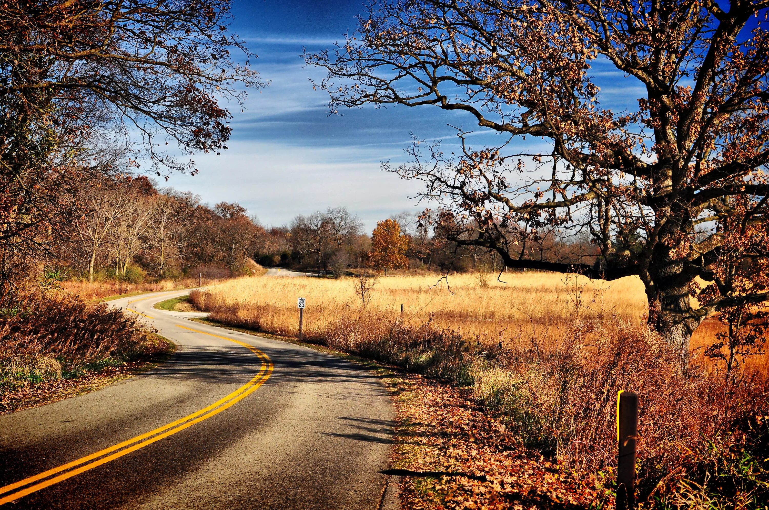 County roads. Осенняя дорога. Пейзаж дерево дорога. Дорога с деревьям красиво качественно. Осенняя дорога перспектива.