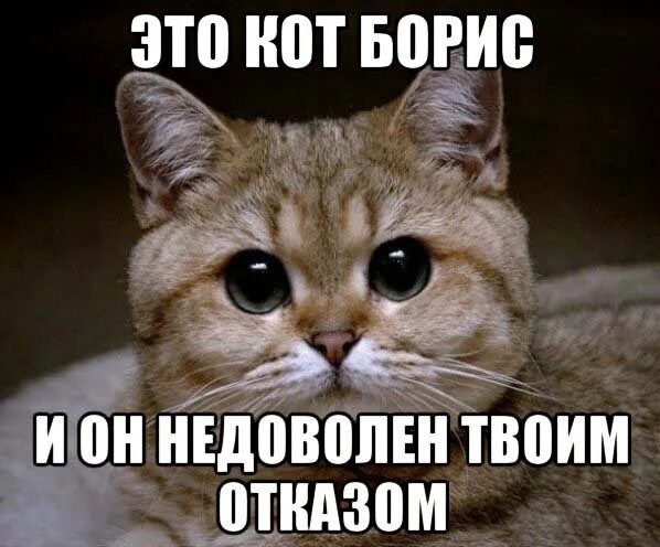 Я недоволен. Недоволен тобой. Заказчик недоволен. Люди которые постоянно недовольны. Кто бы говорил.