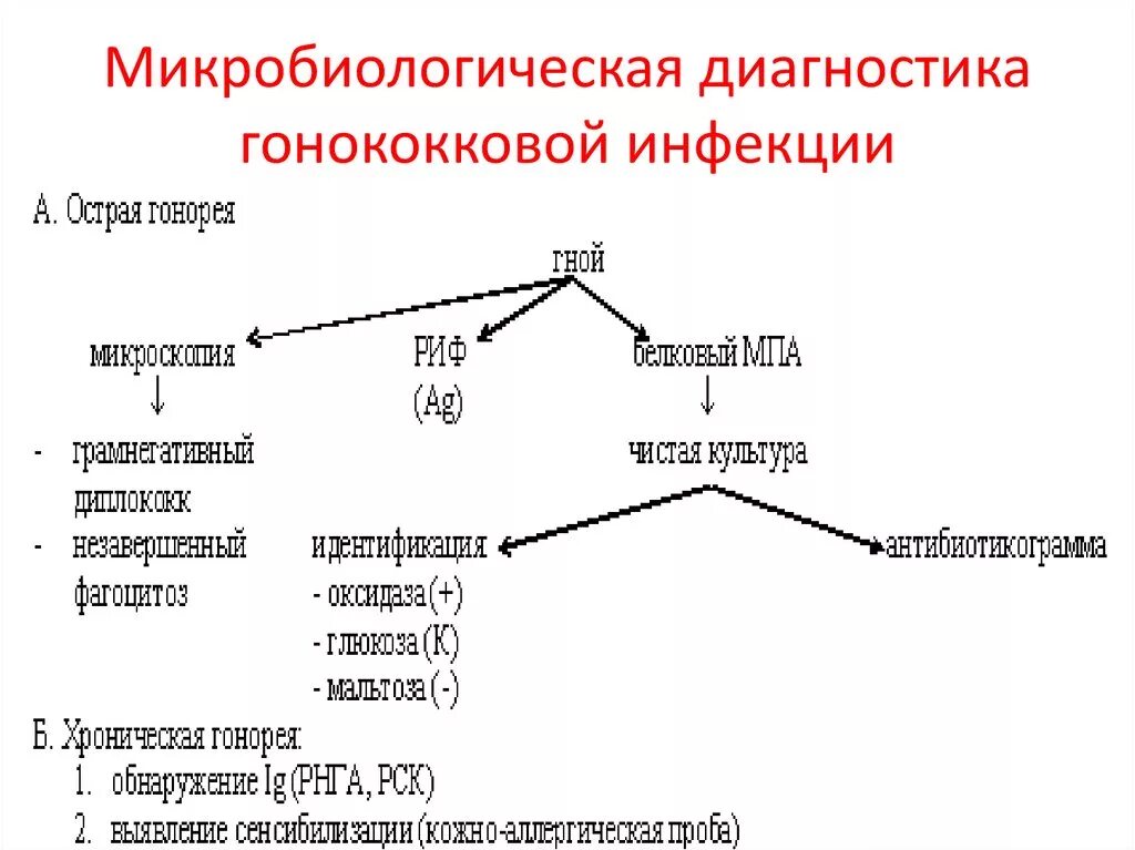 Методы лабораторной диагностики микробиология. Схема лабораторной диагностики стрептококковой инфекции. схема микробиологической диагностики протозоозов. схема лабораторной диагностики стафилококковой инфекции. схема лабораторной диагностики микробиология.