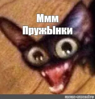 Кот ммм