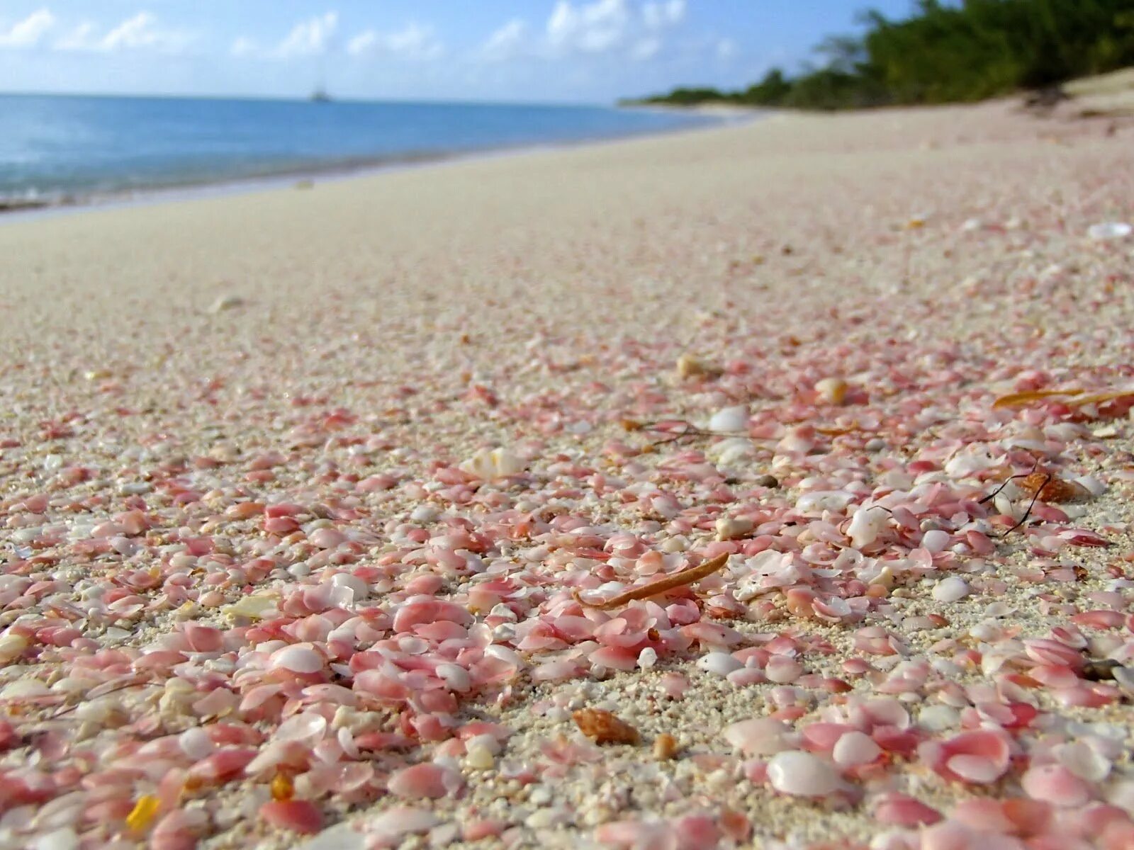 Харбор Багамы розовый пляж. Пинк-Сэндс-Бич, Багамские острова. Розовый пляж Пинк Сэнд Бич. Пляж Пинк-Сэнд-Бич, Харбор, Багамские острова. Пляж лапки