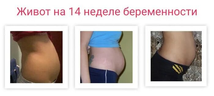 Беременность 14 недель ощущения в животе