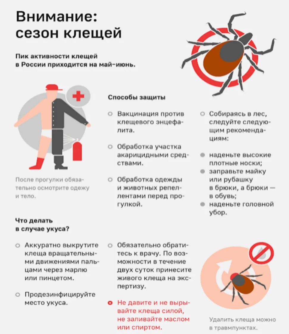 Чем обработать место после клеща. Укус энцефалит клещевой энцефалит. Клещевой энцефалит симптомы укуса. Памятка клещевой энцефалит рекомендации.