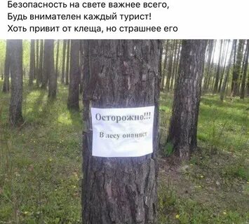 Поздравление для ярика - 51 фото