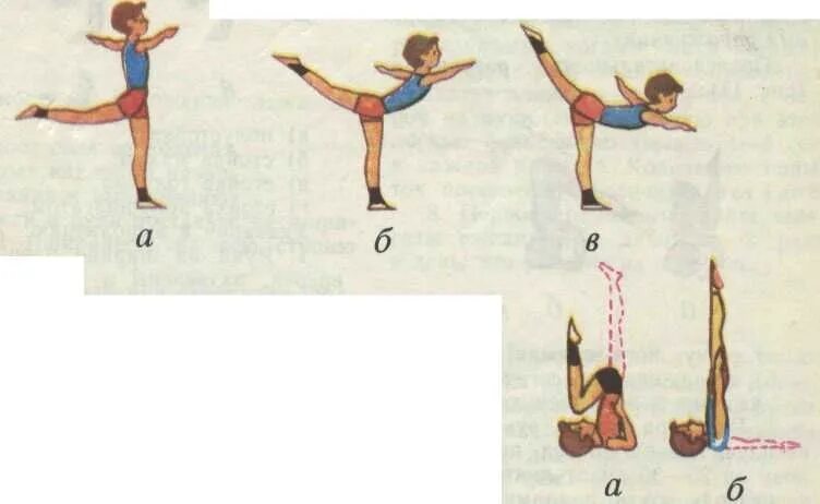 Техника акробатики. Связка гимнастических упражнений 6 класс. Акробатические упражнения. Гимнастические упражнения на уроке физкультуры. Элементы акробатики для детей.