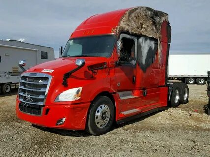Cascadia mono