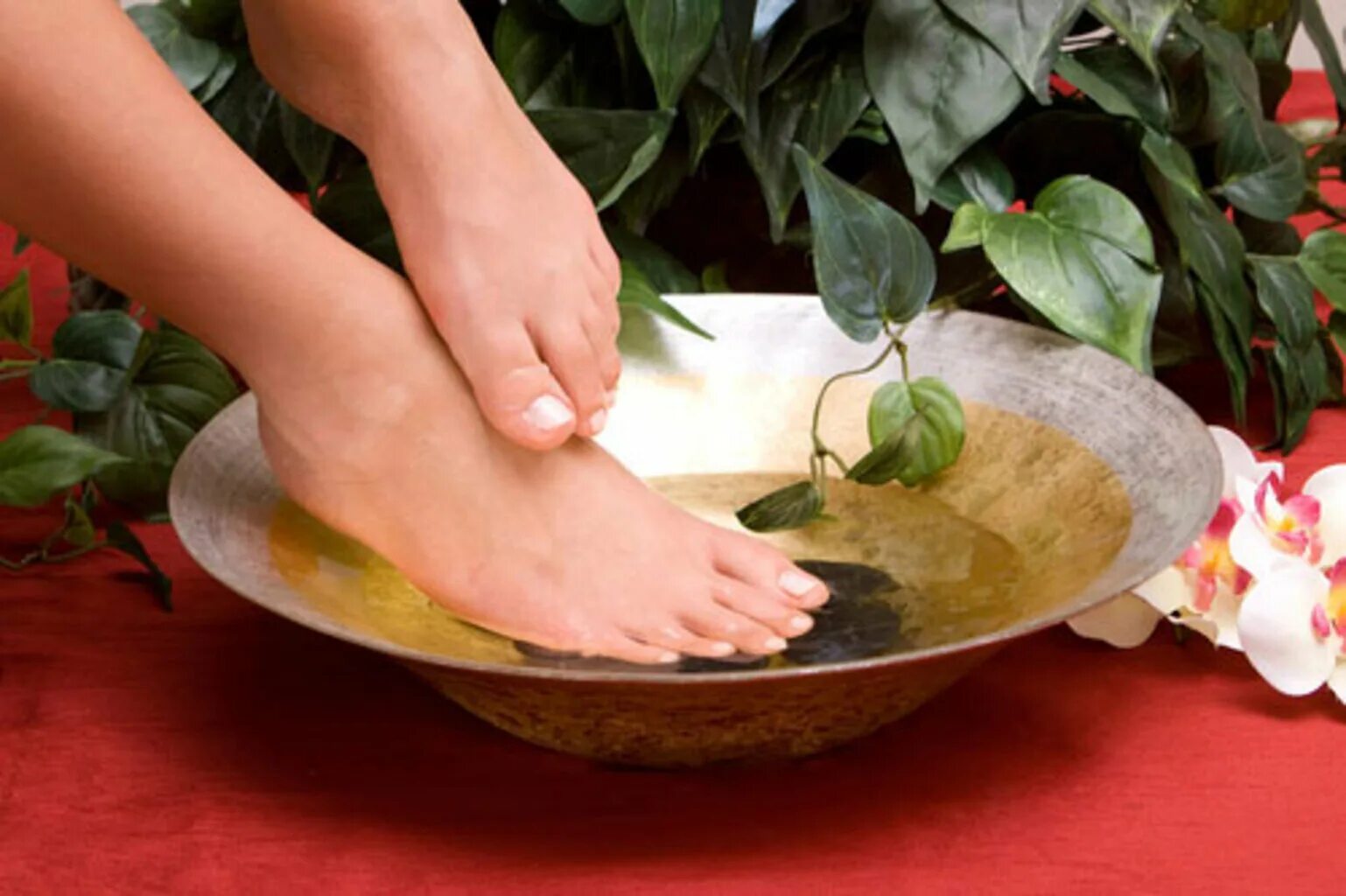 Домашние ванночки от грибка ногтей. Ноги в тазике с травами. Травяные ванночки для ног. Ванночка для ног с травами. Народные средства для ног.