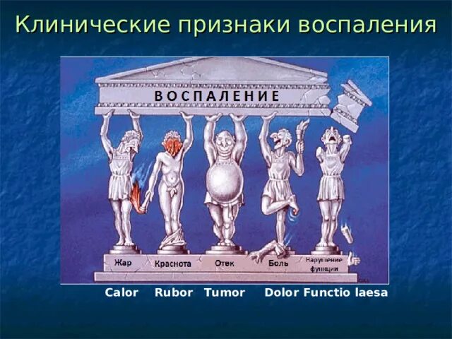 Признак воспаления dolor. Воспаление тумор Рубор. Rubor tumor признаки воспаления. Рубор тумор калор. Пять признаков воспаления.