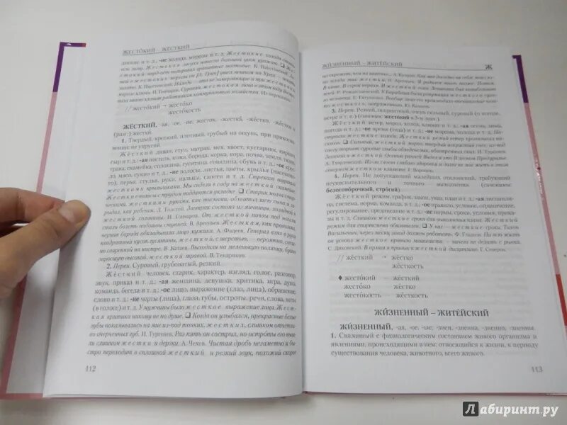 Книга паронимов. Словарь паронимов русского языка Снетова. Словарь паронимов русского языка Вишнякова книга. Снетова, Власова: словарь паронимов русского языка. Словарь паронимов Сиетова.