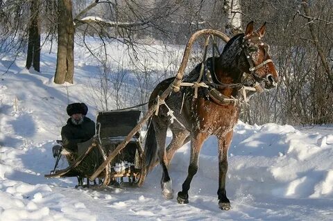Лошадка везущая