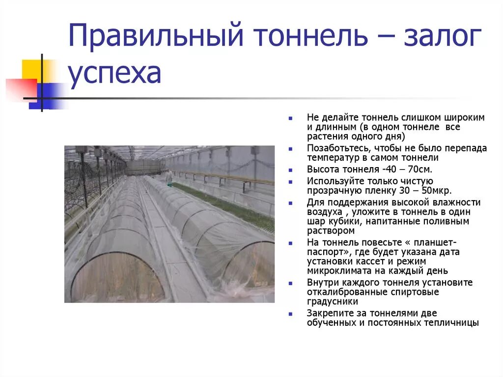Туннель на ривер роуд. Самосский тоннель. Что значит туннель. Как пишется туннель или тоннель. Готардский автомобильный тоннель.