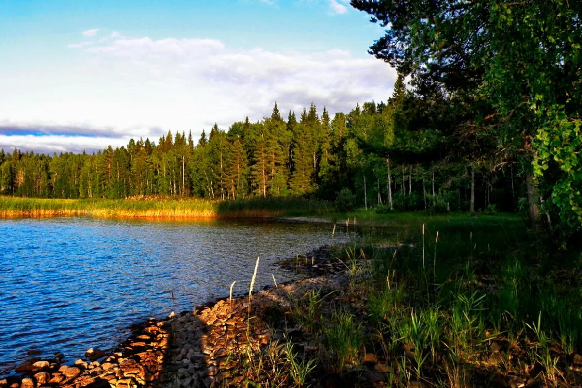 Причины большого количества озер в карелии. Озеро Янисъярви Карелия. Чесьярви озеро Карелия. Озеро Янисъярви Карелия рыбалка. Заячье озеро Карелия.