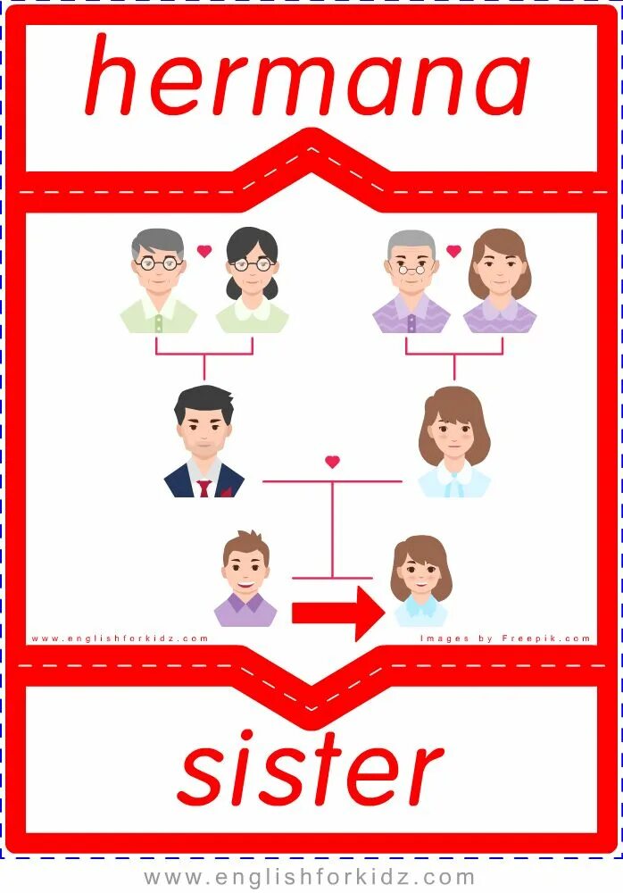 Семья Flashcards. Карточки Family members. A member of the Family. Family members Flashcards for Kids. Your sister english