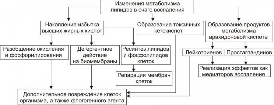 Метаболические изменения в очаге воспаления. Обменные нарушения в очаге воспаления. Нарушение обмена веществ при воспалении. Изменение обмена веществ при воспалении.