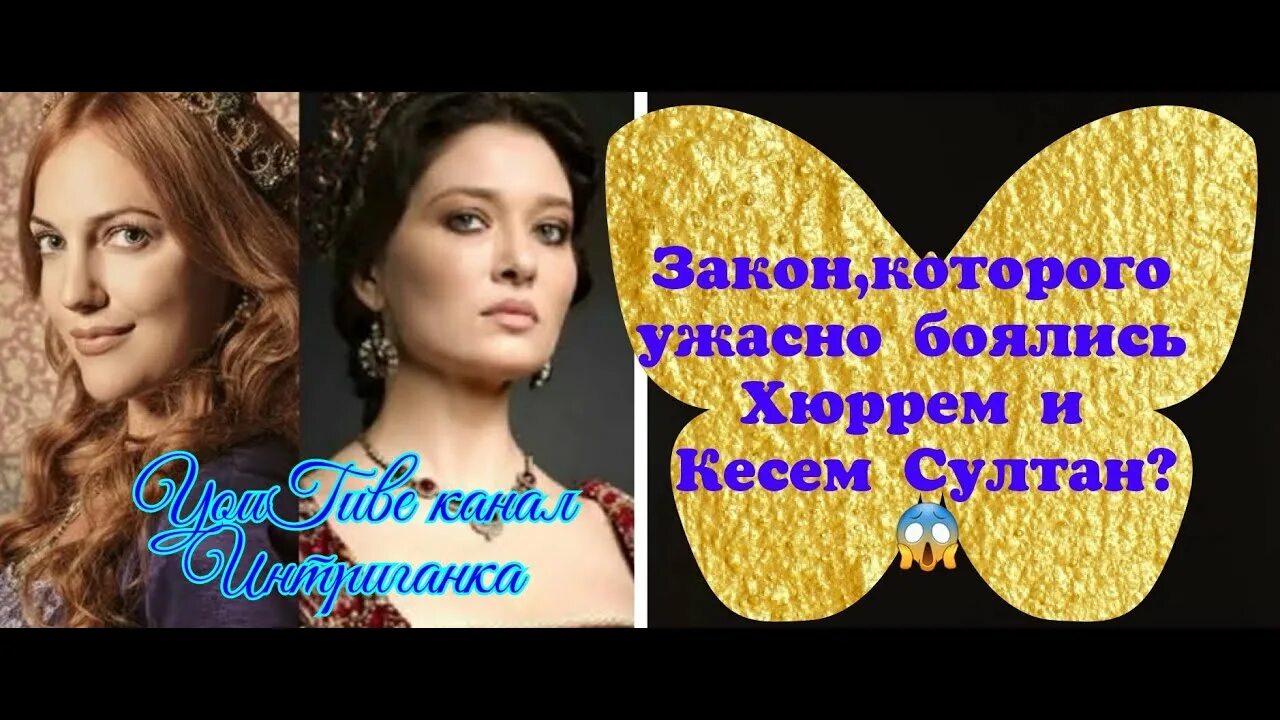 Потомки султанов. Потомки Султана Сулеймана и Хюррем в наши дни. Потомки Султана Сулеймана и Хюррем в наши. Потомки Султана Сулеймана. Потомки Сулеймана и Хюррем в наши дни.