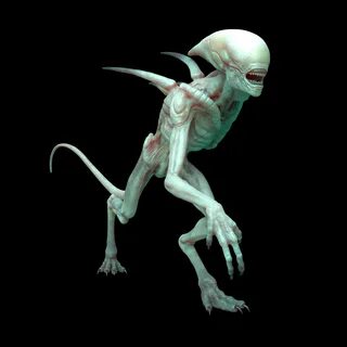 Alien 3d
