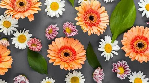 Colorful summer