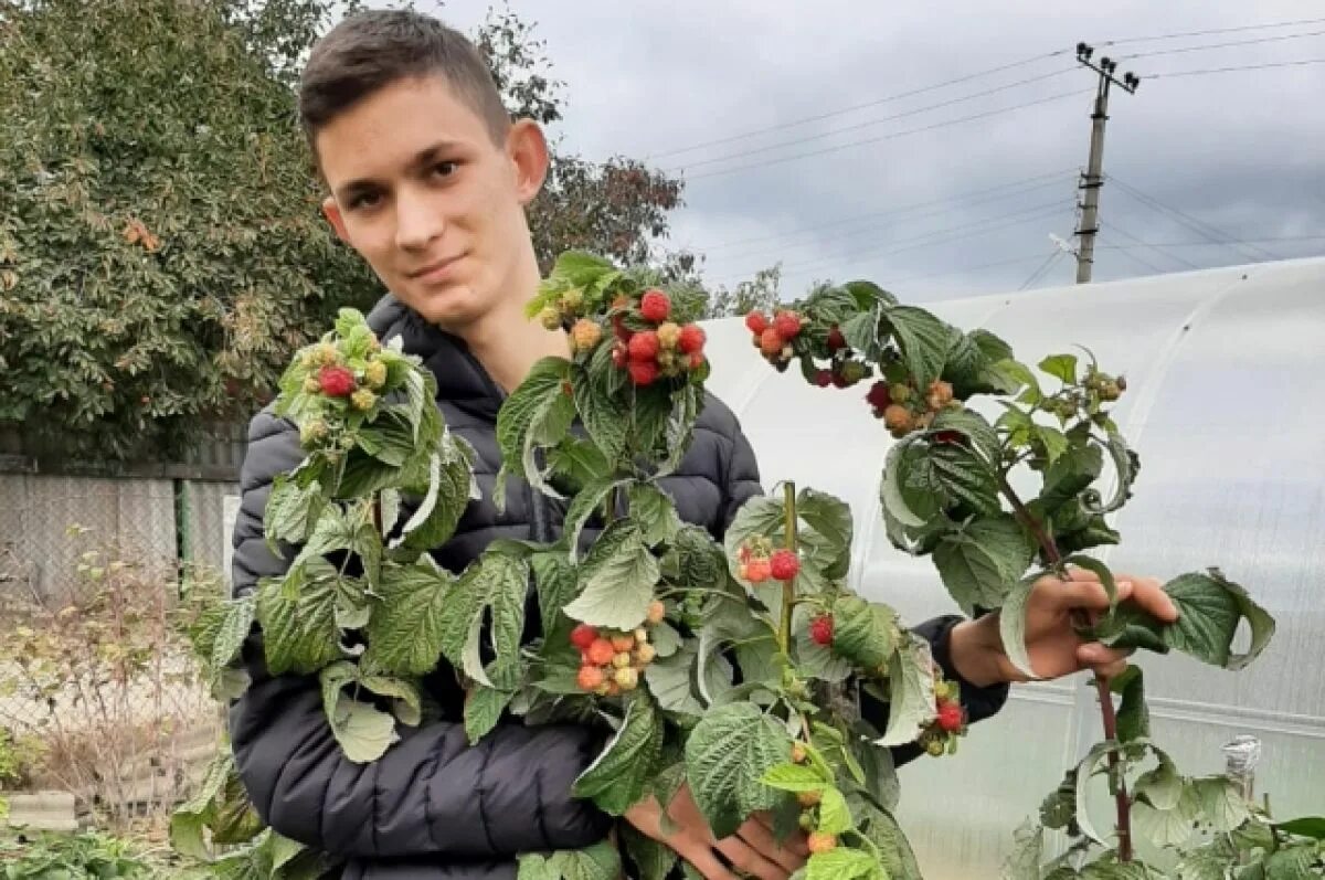 Сайт садоводов любителей. Садовод любитель. Блоггеры садоводы и огородники. Блоггеры садоводы и огородники Крыма. Красивый мужчина огородник.