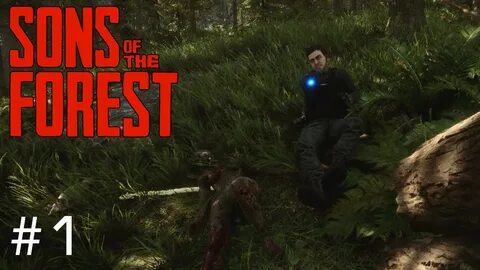 Кельвин forest