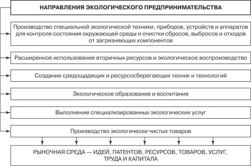 Виды экологического предпринимательства. Формы экологического предпринимательства. Основные виды экологического предпринимательства. Экологическая предпринимательская деятельность. Направления экологической деятельности