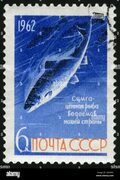 USSR,1962 year,post mark,stamp, art Stock Photo - Alamy