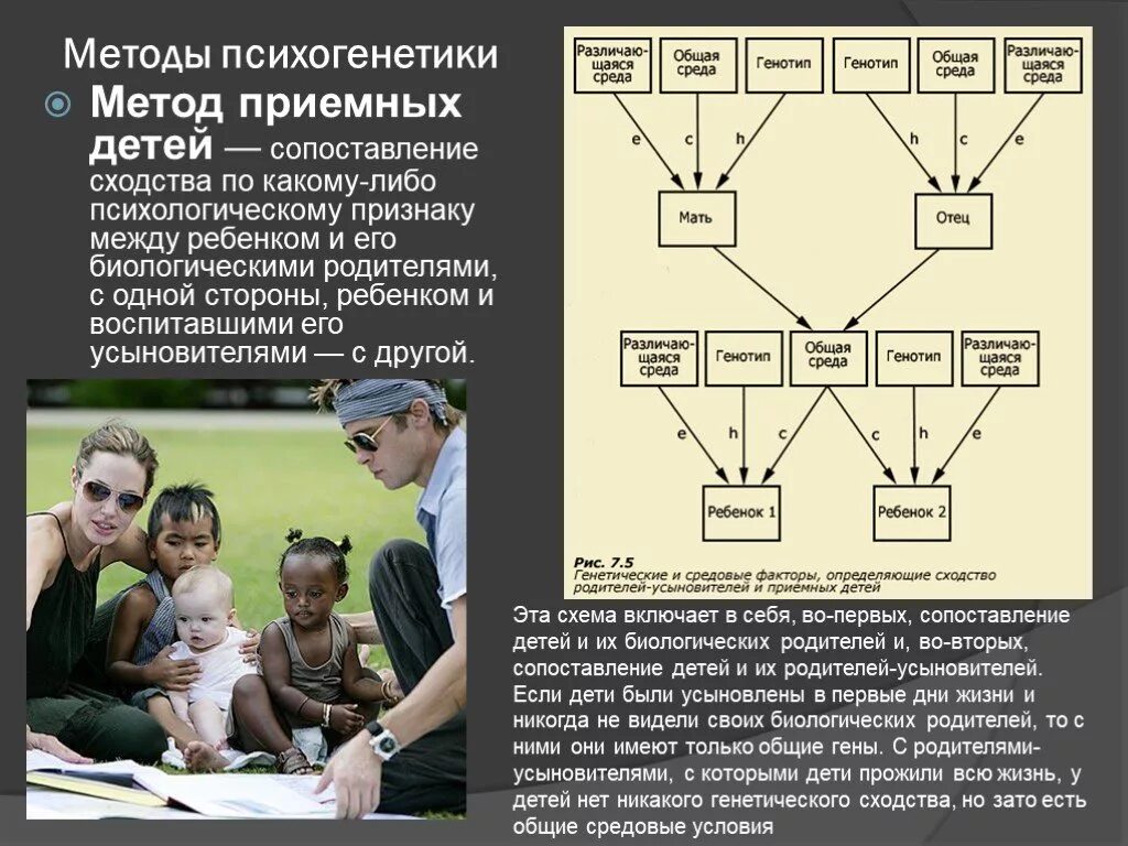 Метод приемных детей. Схема метода приёмных детей. Возможности метода приемных детей. Метод приемных детей в психогенетике. Хочу найти родителей