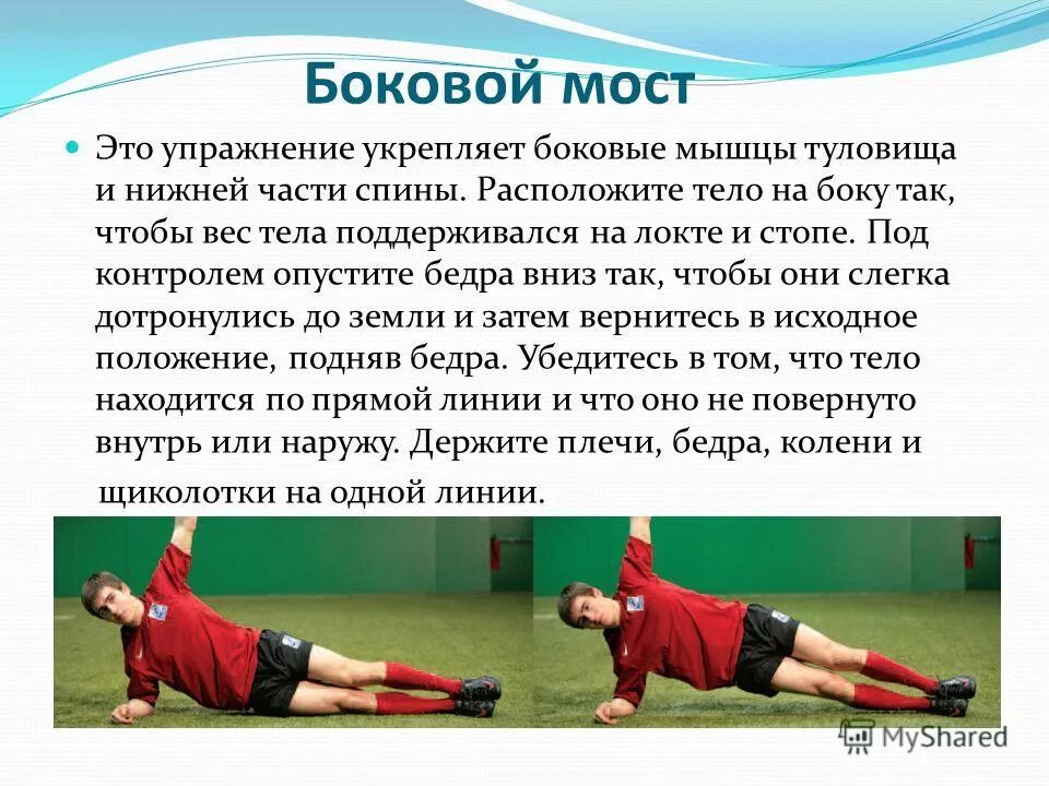 Упражнения для укрепления мышц туловища. Строение головного мозга варолиев мост. Варолиев мост и мозжечок. Боковой мостик упражнение. Головной мозг человека строение варолиев мост.