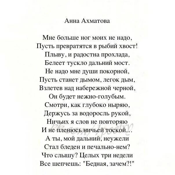 Стихотворение ахматовой белой ночью. Я не любви твоей прошу Ахматова. Стих Анны Ахматовой я не любви твоей прошу. Стихи неизвестных поэтов о жизни. Стихи о любви известных поэтов.