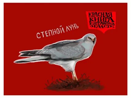Книга курганская область