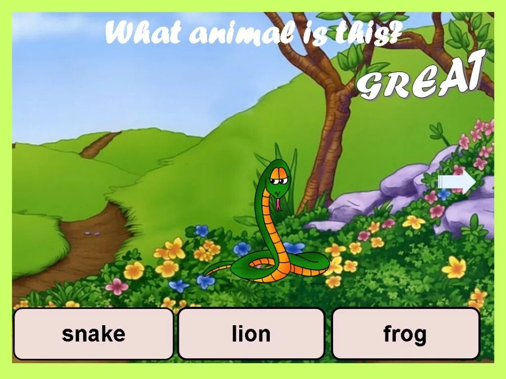 Wild animals игра. What animal. What animal is it. This or that animals game.