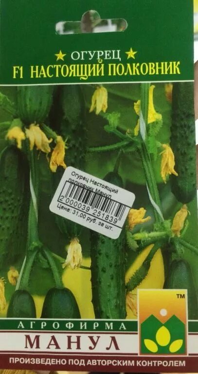 настоящий мужик семена огурцов седек. огурец мева f1. семена огурца настоящий мужик. огурец настоящий мужик f1 описание. огурец настоящий мужик седек.
