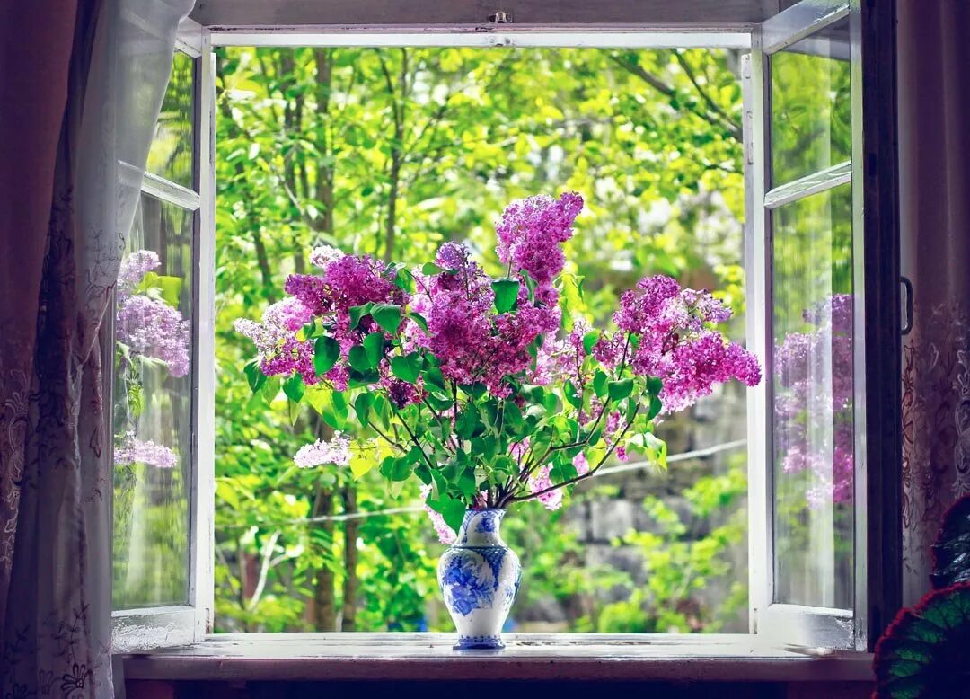 Вновь открытое окно. Весенние цветы на окне. Сирень на окне. Весеннее окно.