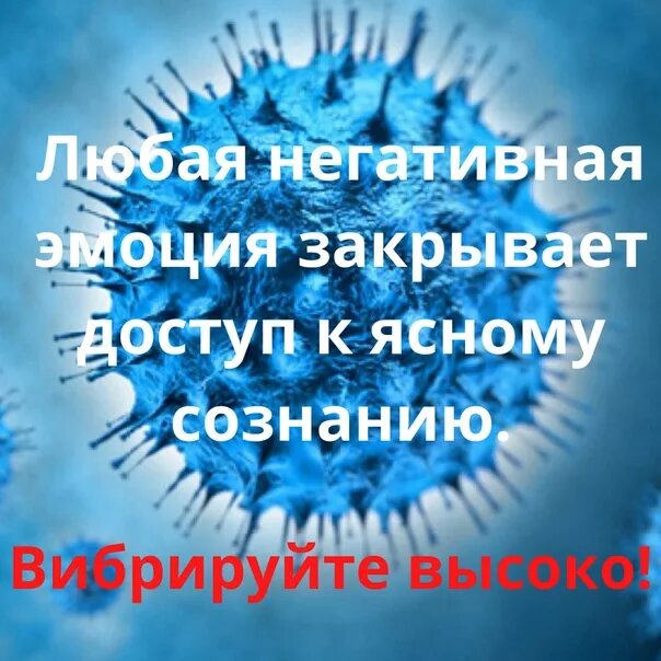 Пусть вирусы обходят стороной. Здоровья и никаких вирусов. Здоровья вам и чтоб никаких там вирусов. Пусть вирусы обходят стороной картинки.