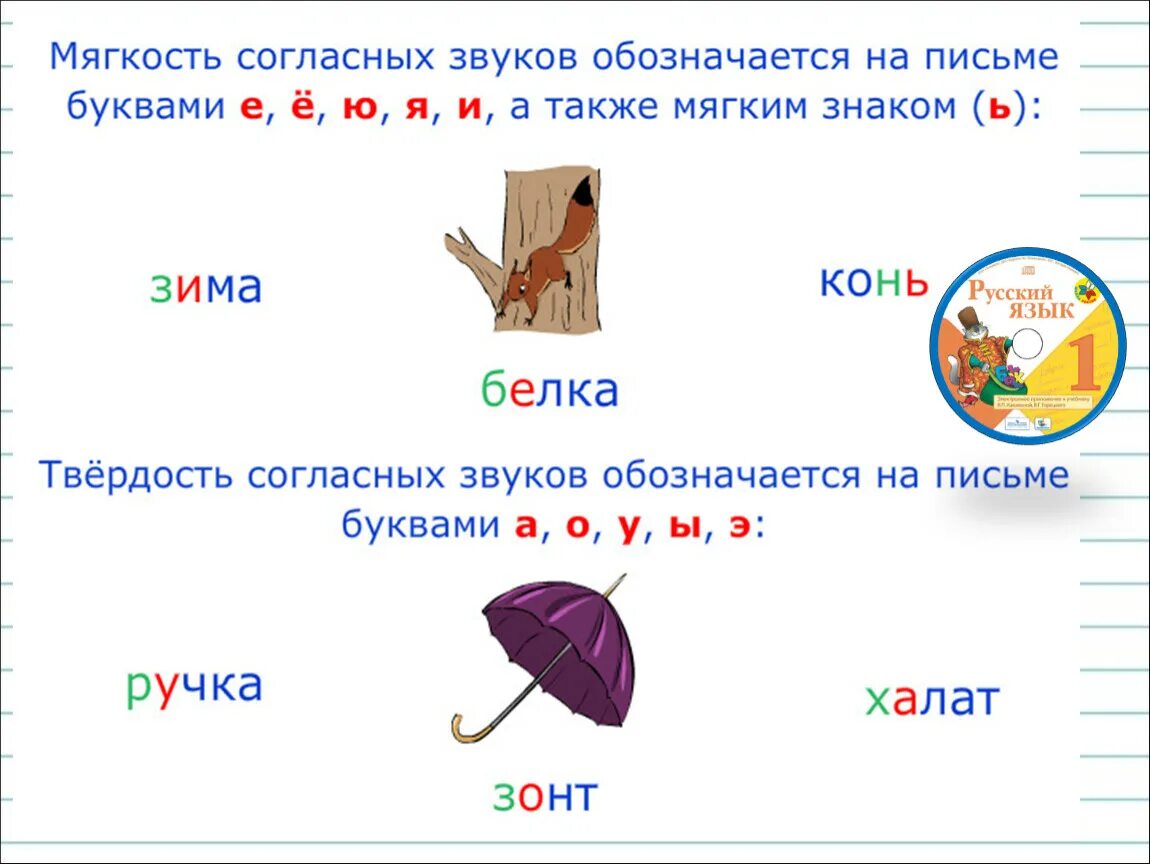 Твердый и мягкий согласный звук 1 класс. Мягкость и твёрдость согласных звуков 1 класс. Твердый и мягкий согласный 1 класс. Твёрдый и мягкий звук в русском языке. Мягкий и твердый звук с в словах