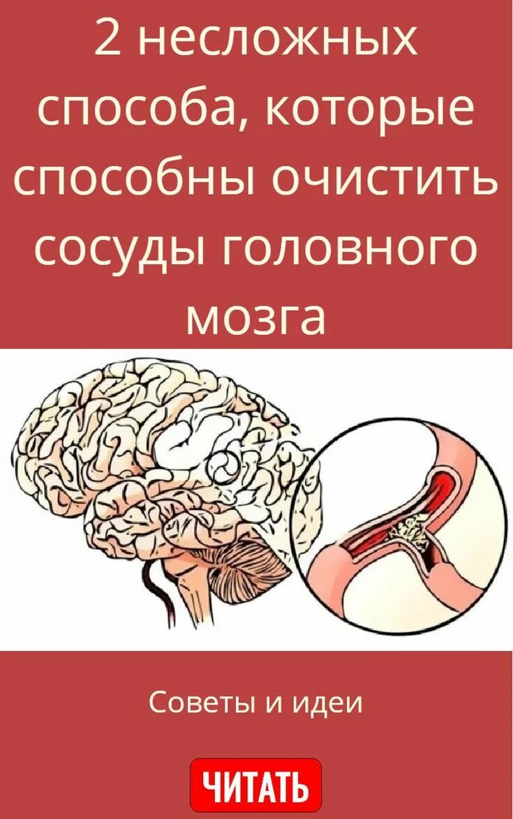 Очищение сосудов головного. Продукты для очищения сосудов головного мозга. Чистка сосудов головного мозга. Что чистит мозг