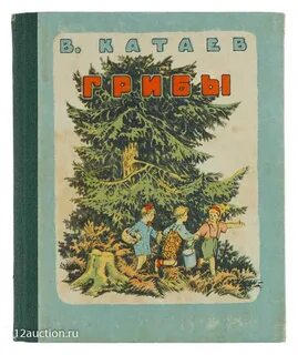 Катаев грибы картинки