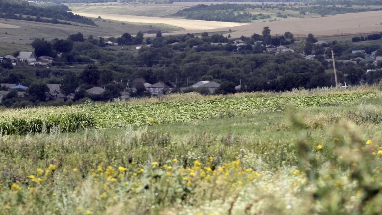 В начале 2012 года в воронежской области. Село Борщево Воронежской области Хохольский район. Урыв-Покровка Воронежская область. Село Воронцовка Воронежской области. Село Переезжее Воронежская область.